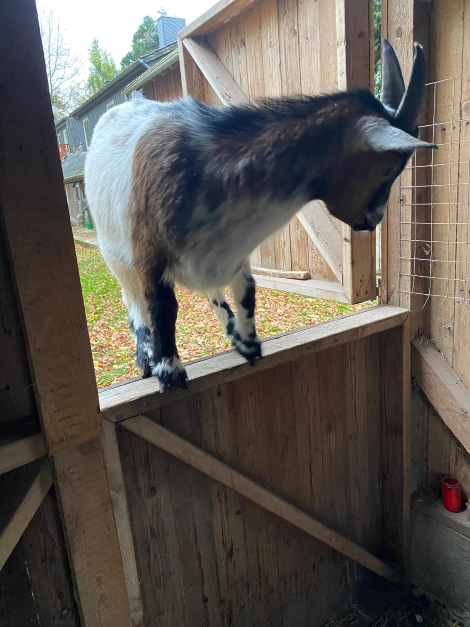 Ferienwohnung Auf Einem Resthof Zentral Gelegen Mit Viel Natur Und Tieren Rendswuhren 外观 照片